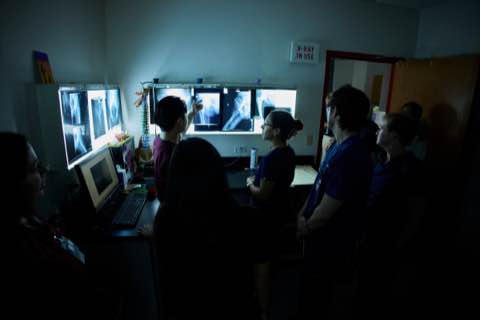 people reading x-rays on light boxes